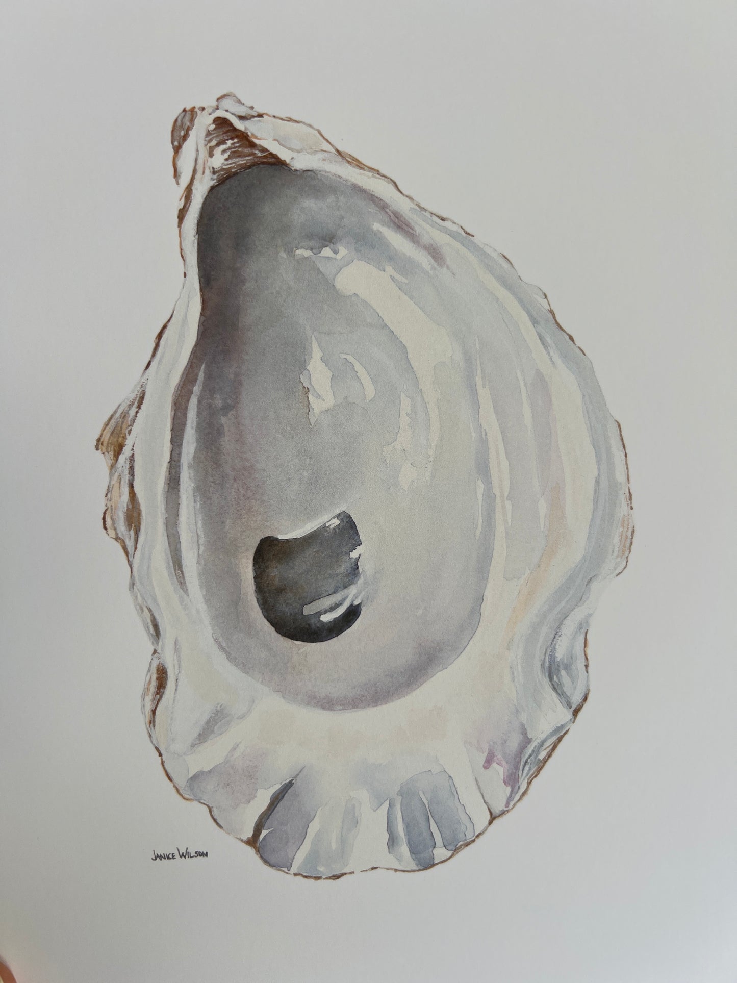 Giclee Prints of Original Watercolor, Summer Oyster #2