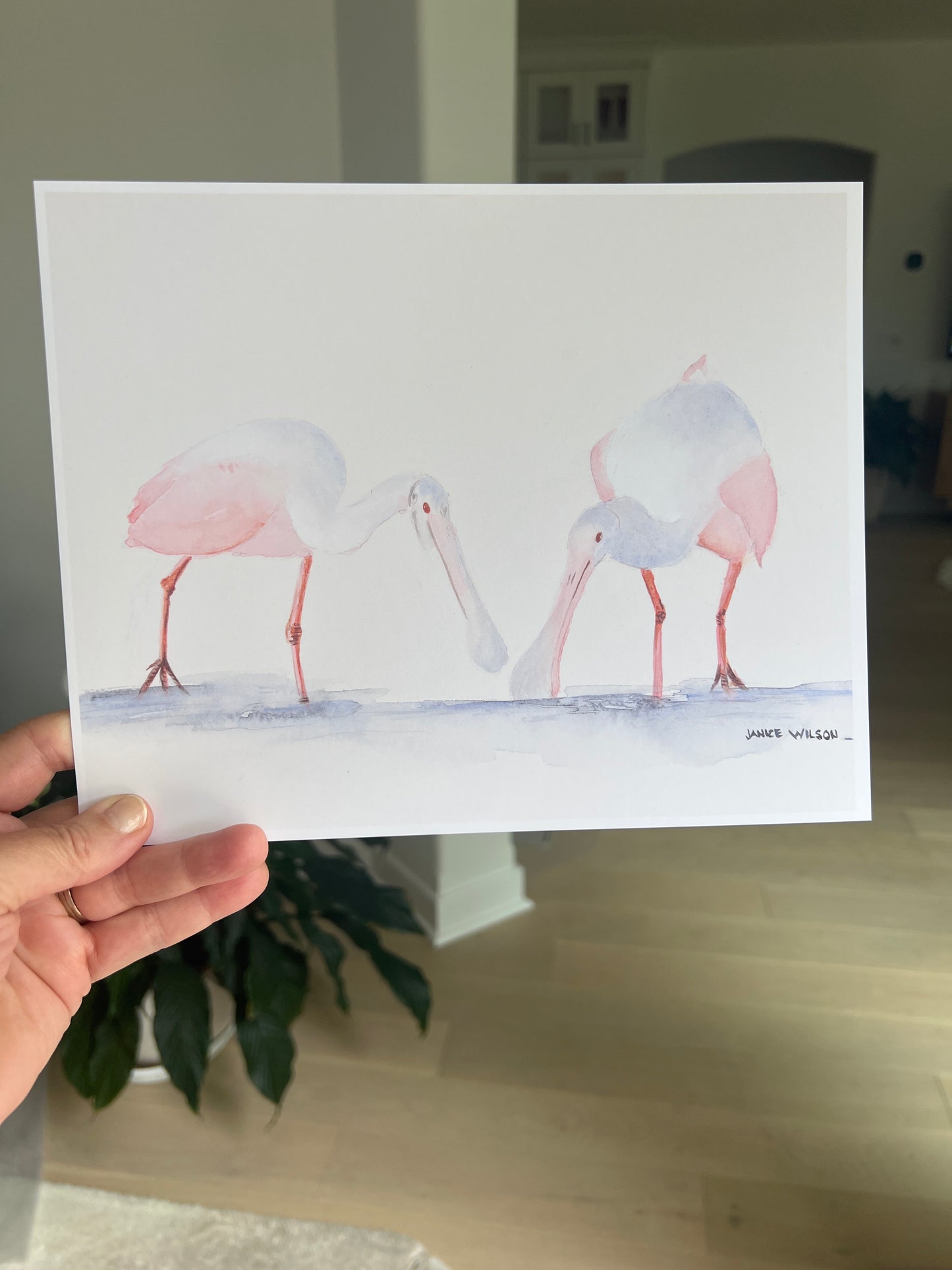 Baby Spoonbills, Giclee Print, Original Fine Art Watercolor Painting