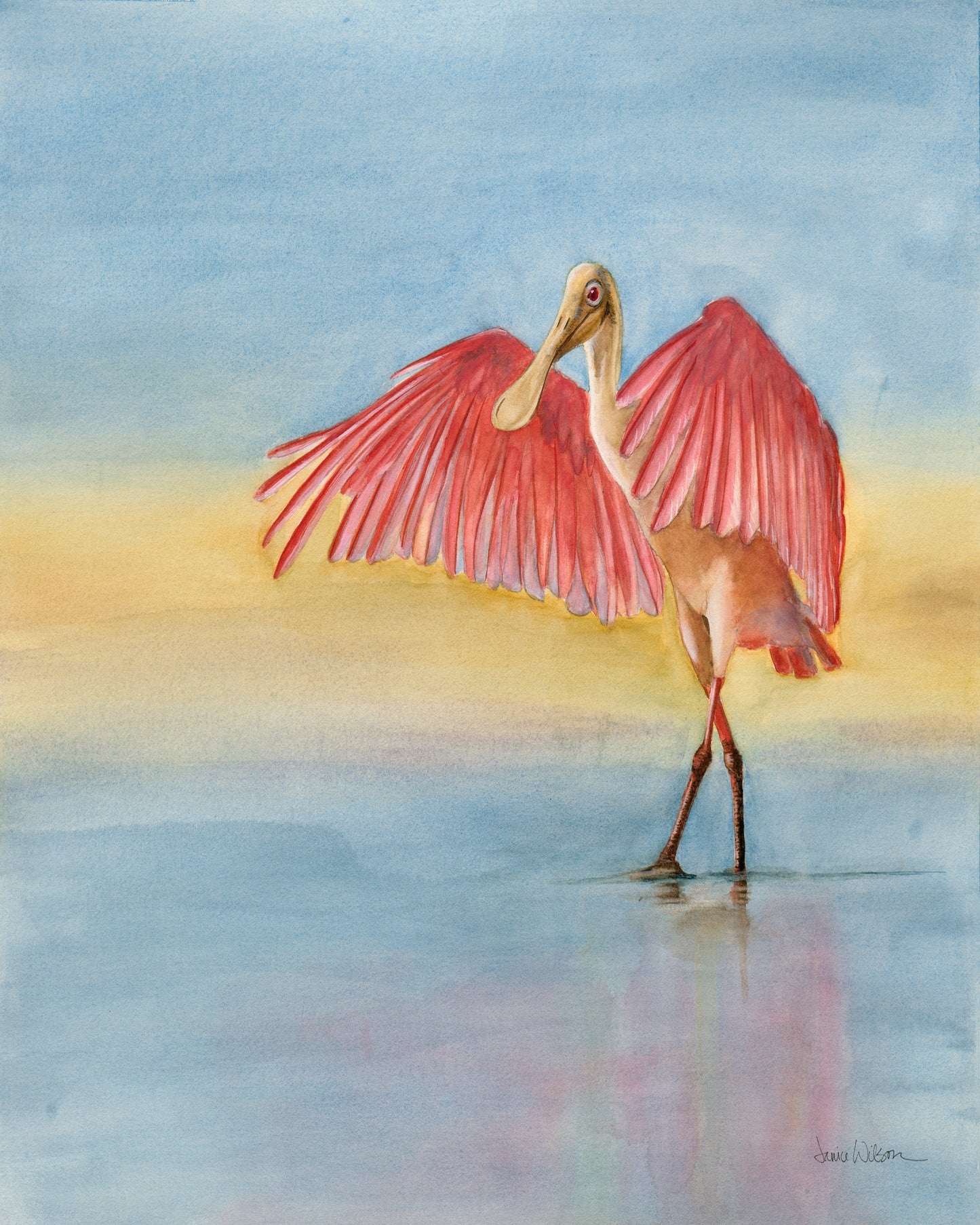 Giclee Prints of Watercolor Original Angel Spoonbill