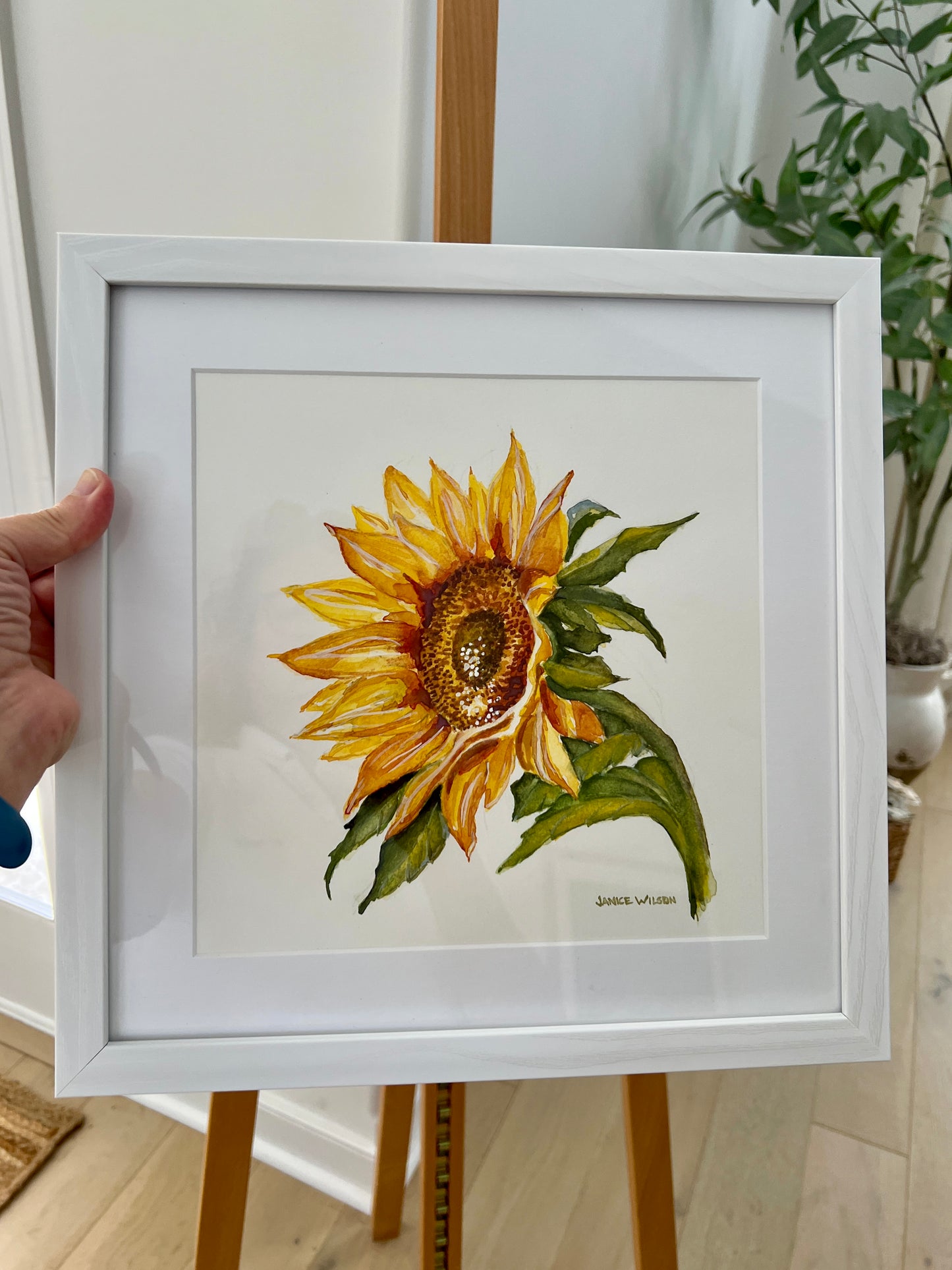 Sunflower #3 (Pairs with Sunflower #1 and #2 sold individually), Original Fine Art Watercolor Painting, 12 x 12 Framed and Ready to Hang