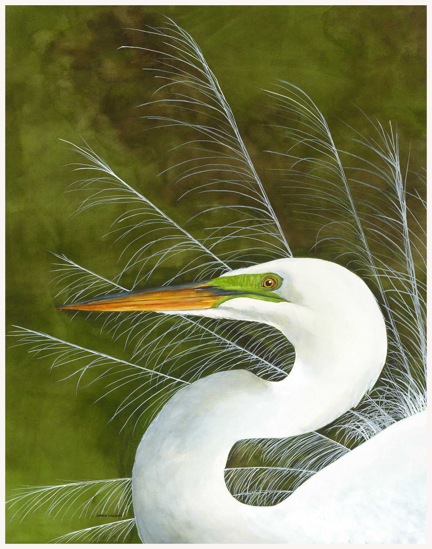 Great Egret, Male, Breeding Plumage, Original Fine Art Watercolor Painting, 36 x 48 FRAMED