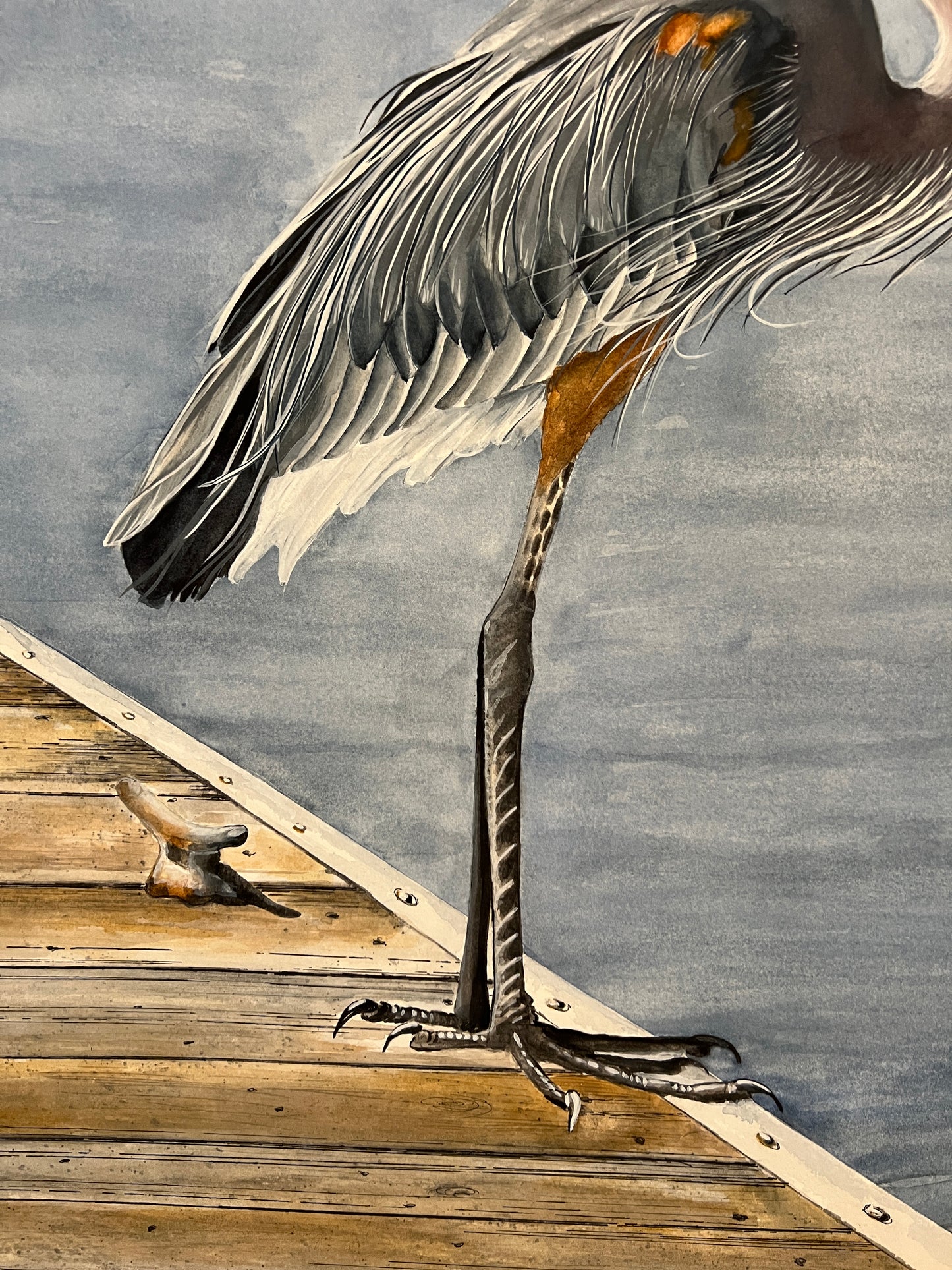 Hudson, Blue Heron, Giclee Print of Original Watercolor
