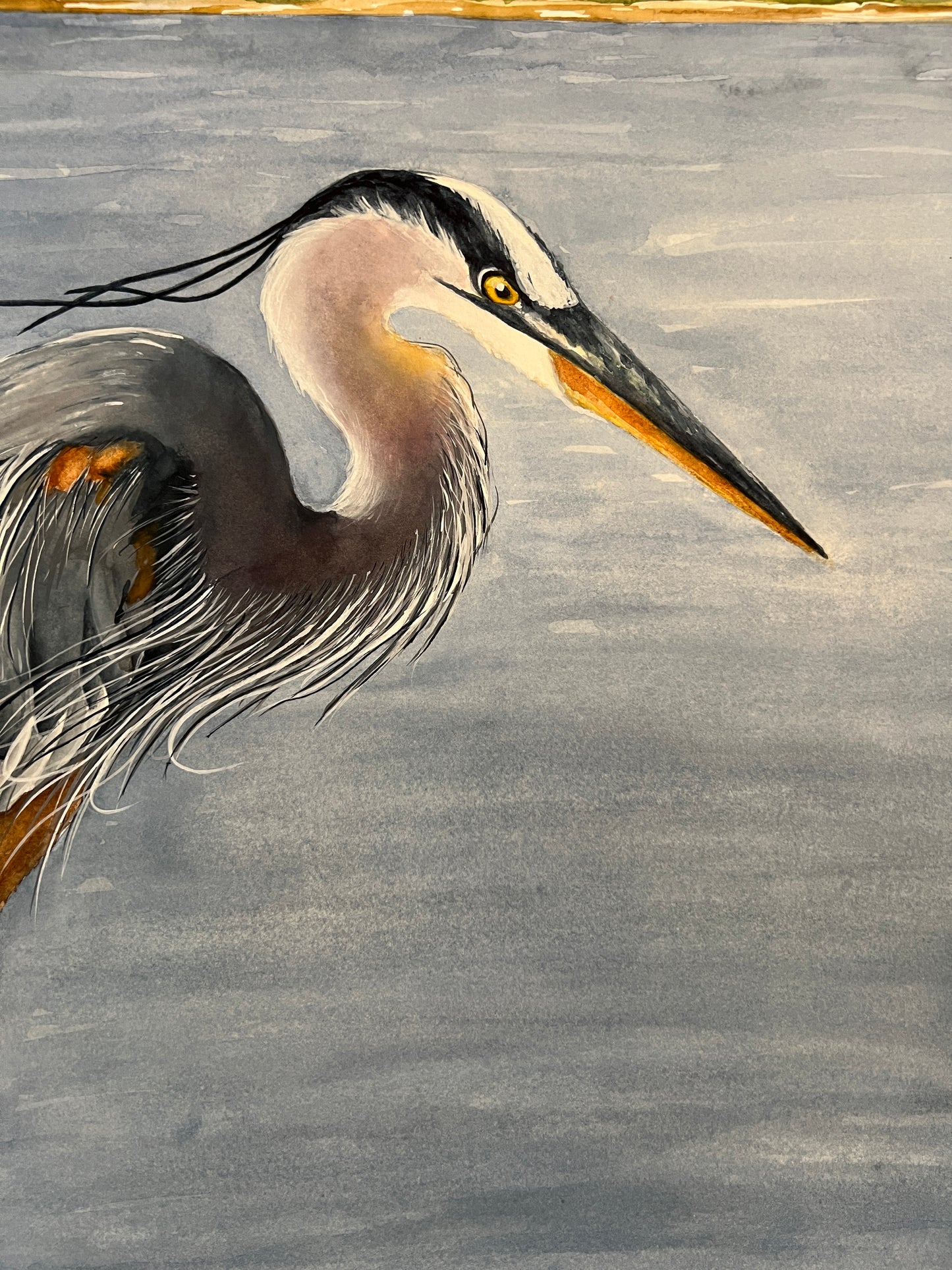 Hudson, Blue Heron, Giclee Print of Original Watercolor