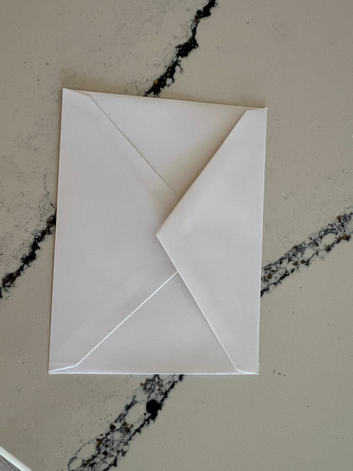Note Card, Christmas Card, Greeting Card, Spoonbill with Christmas Hat, Blank Inside, Set of 10 (Copy)
