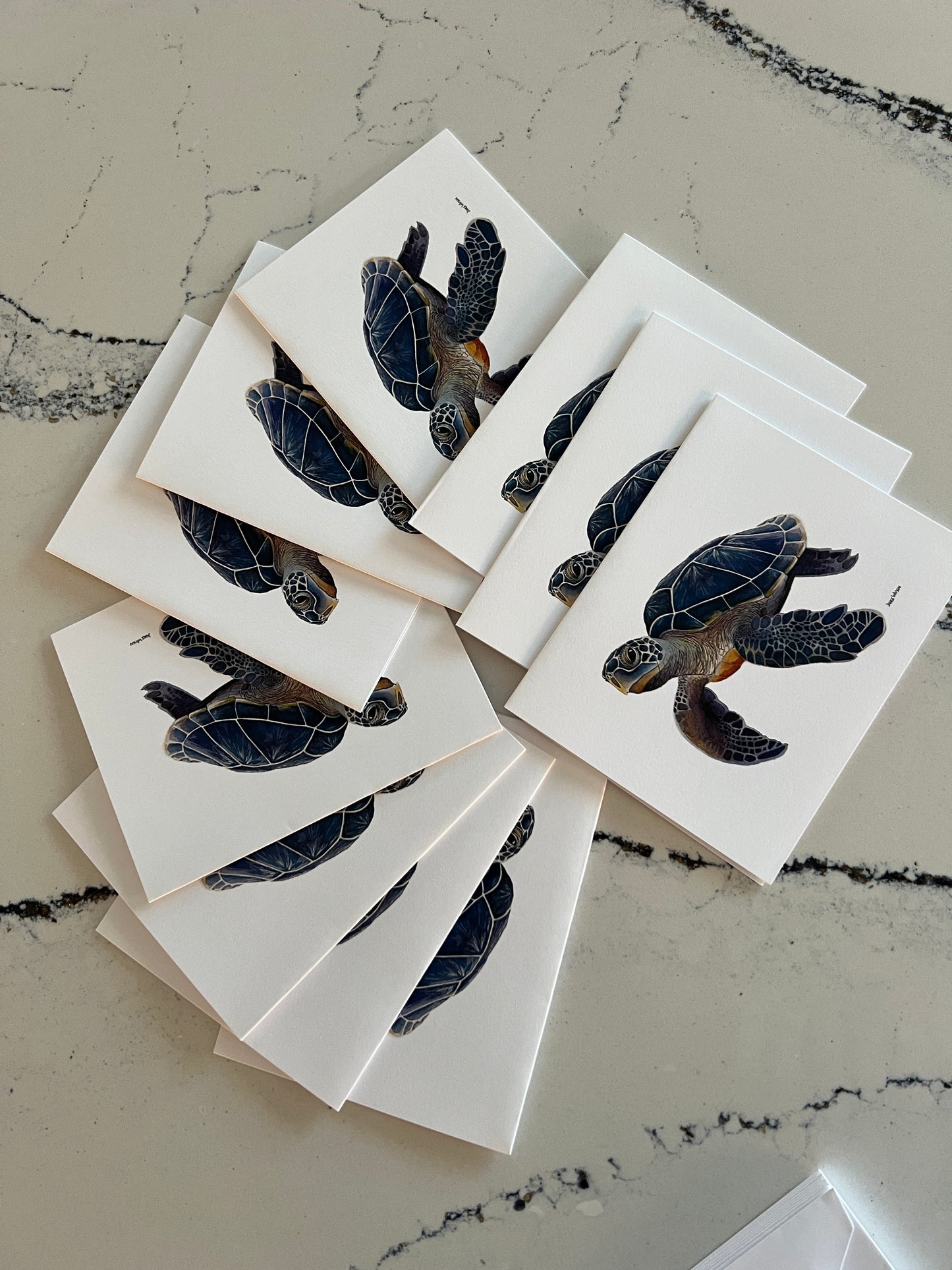 Note Card, Greeting Card, Blue Turtle, Blank Inside, Set of 10