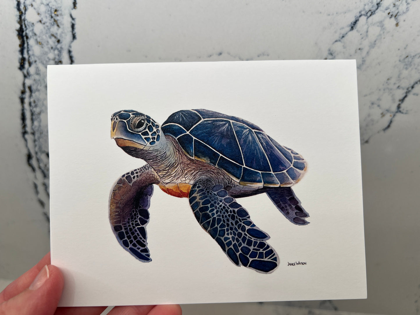 Note Card, Greeting Card, Blue Turtle, Blank Inside, Set of 10