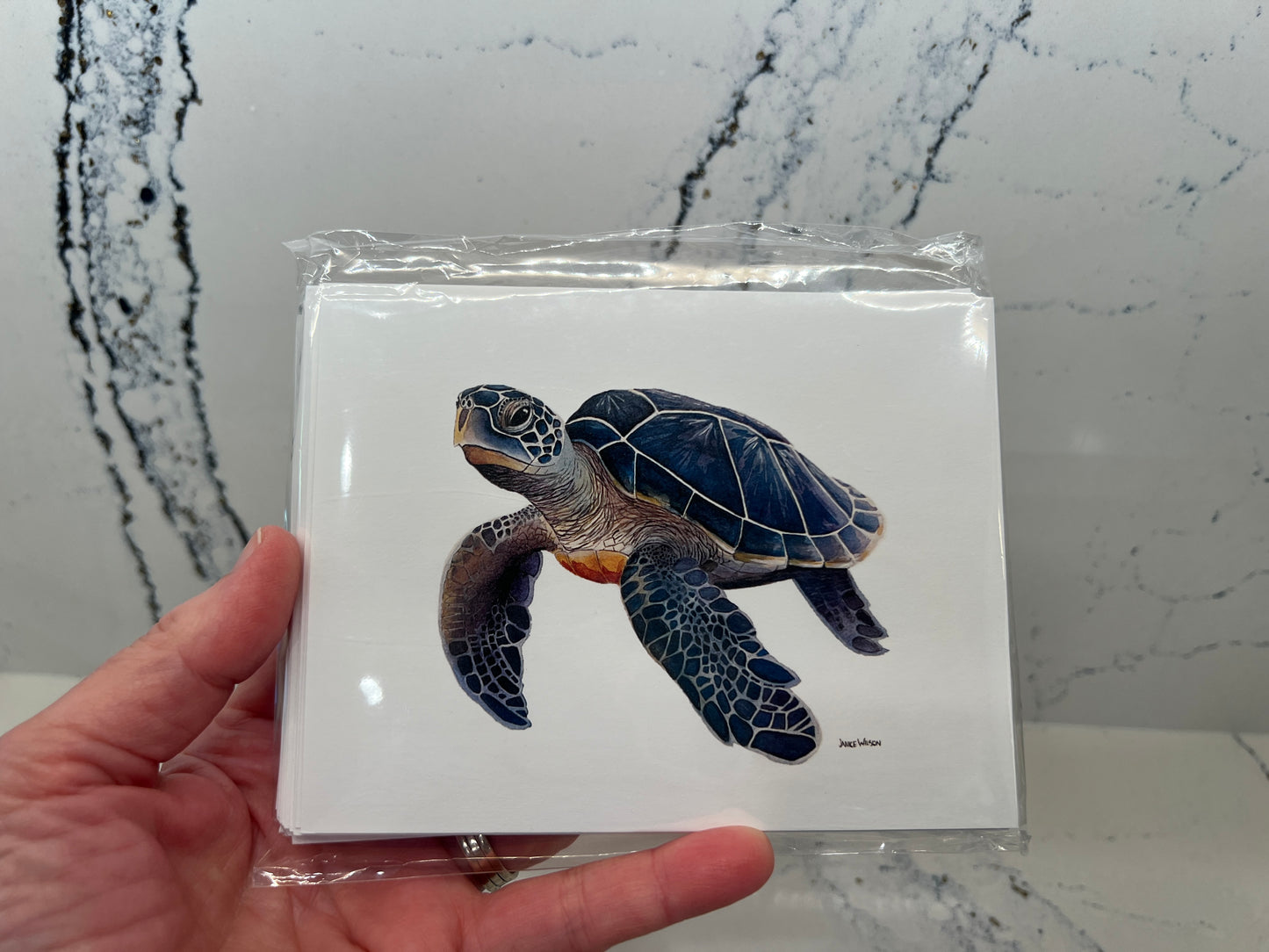 Note Card, Greeting Card, Blue Turtle, Blank Inside, Set of 10