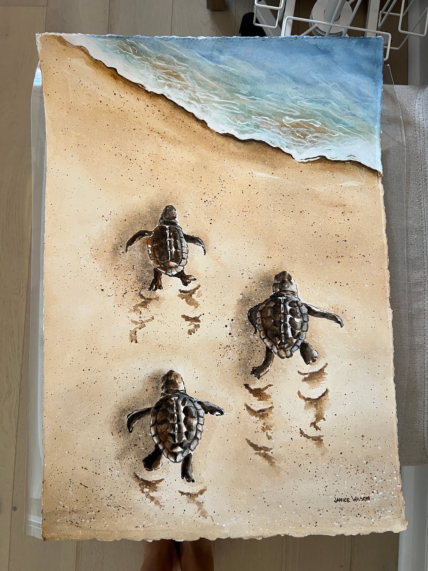 Giclee Prints of Original Watercolor, Baby Loggerhead Turtles crawling to ocean for first time