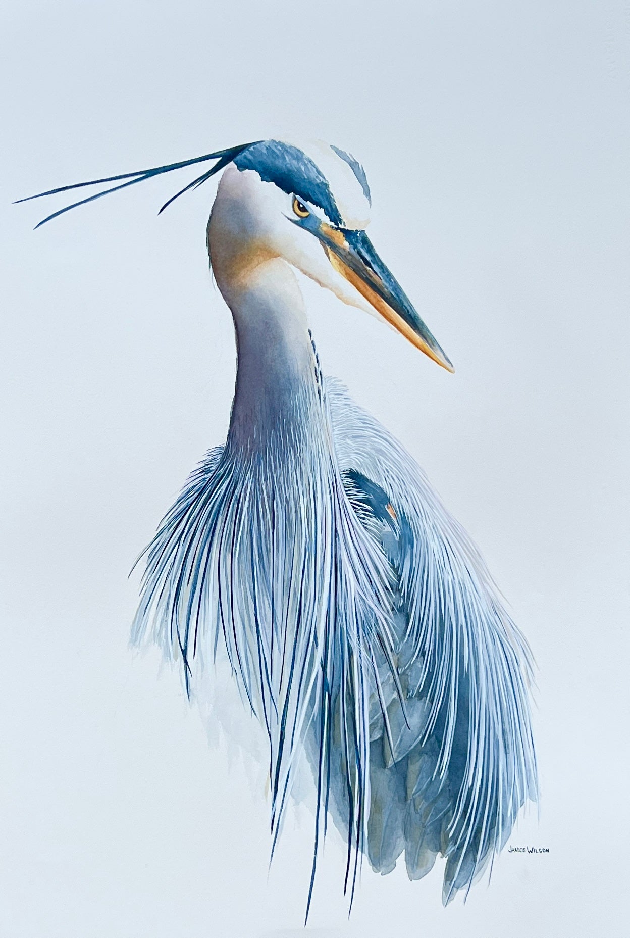 Giclee Prints of Original Watercolor, "Tude" Blue Heron