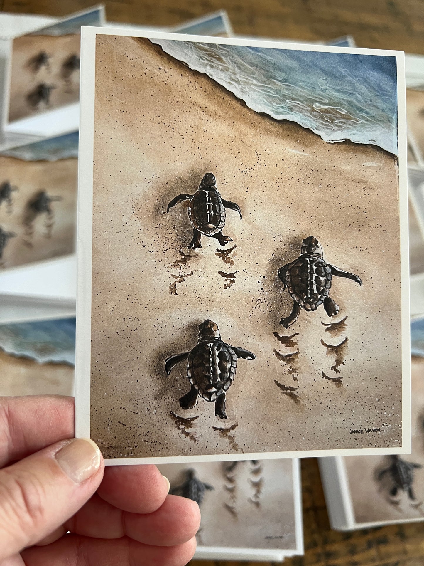 Note Card, Greeting Card, Baby Turtles, Blank Inside, Set of 10