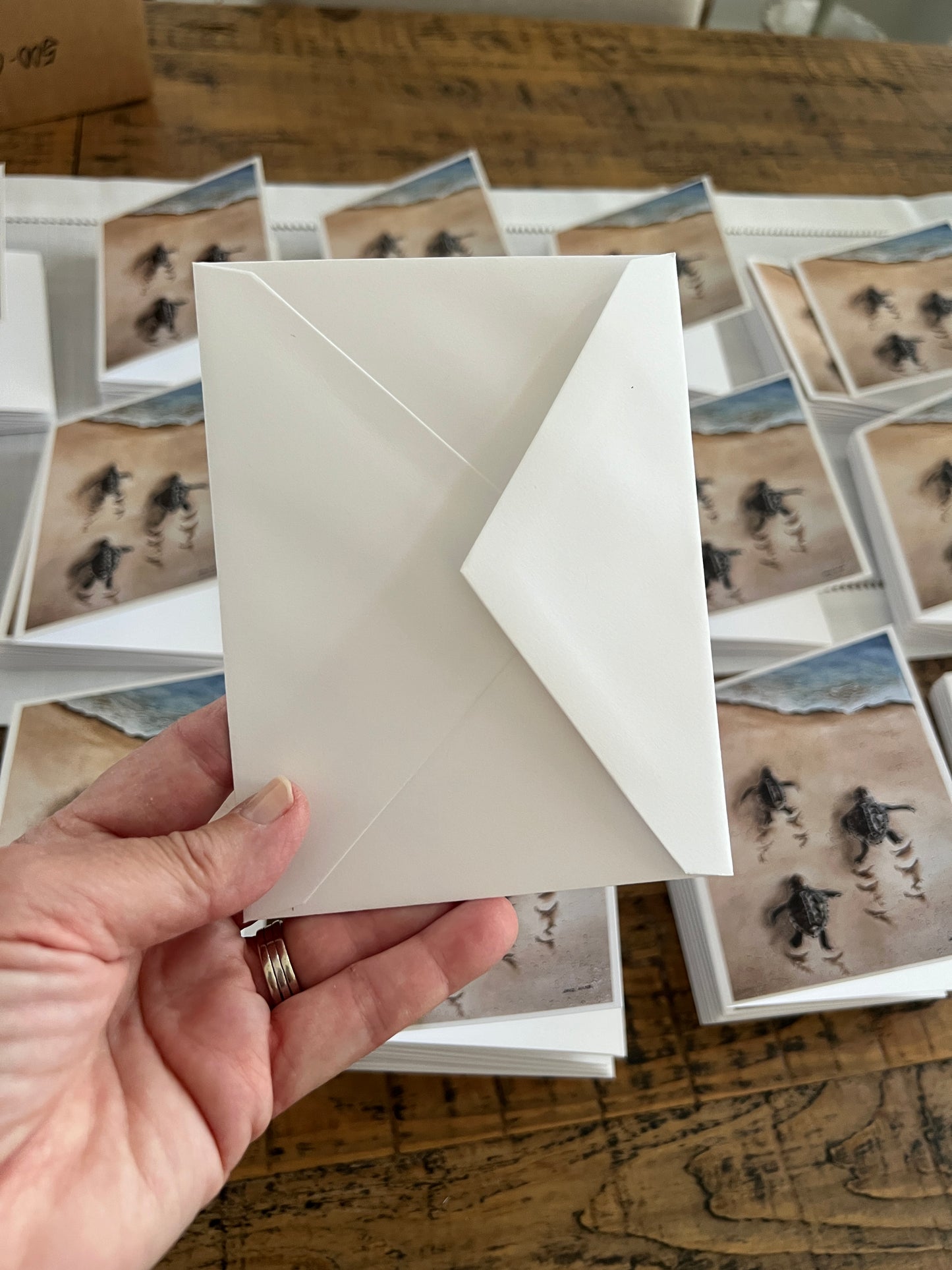 Note Card, Greeting Card, Baby Turtles, Blank Inside, Set of 10