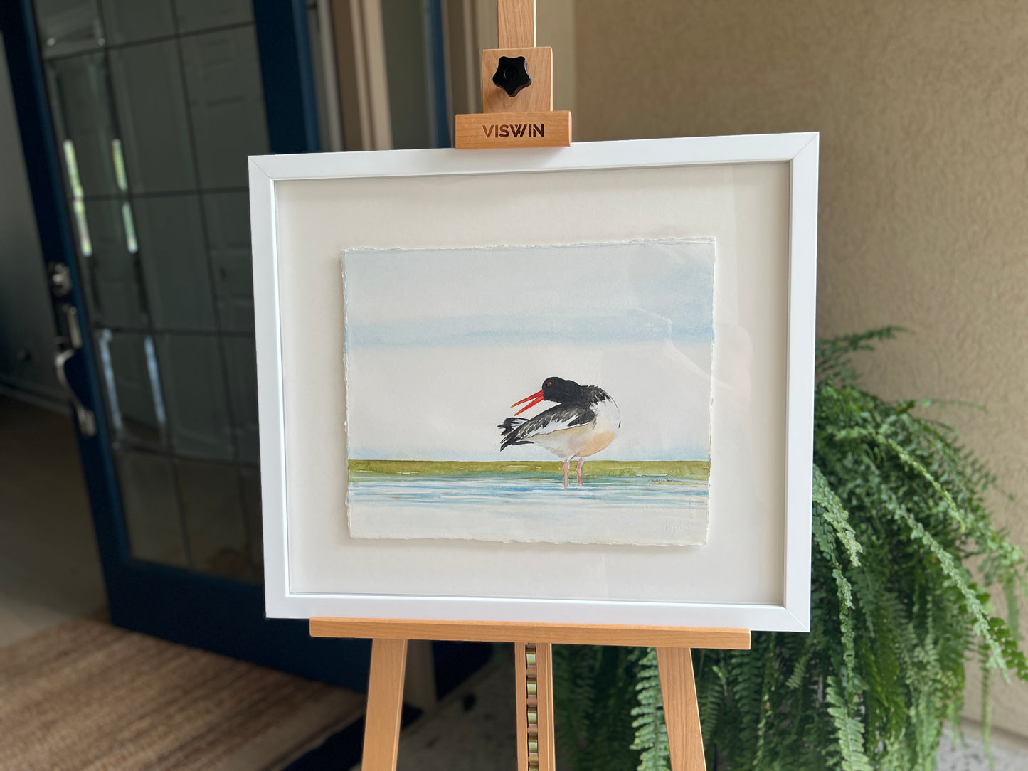American Oystercatcher, Shore Bird, Original Fine Art Watercolor Painting, 20.5 x 24 FRAMED