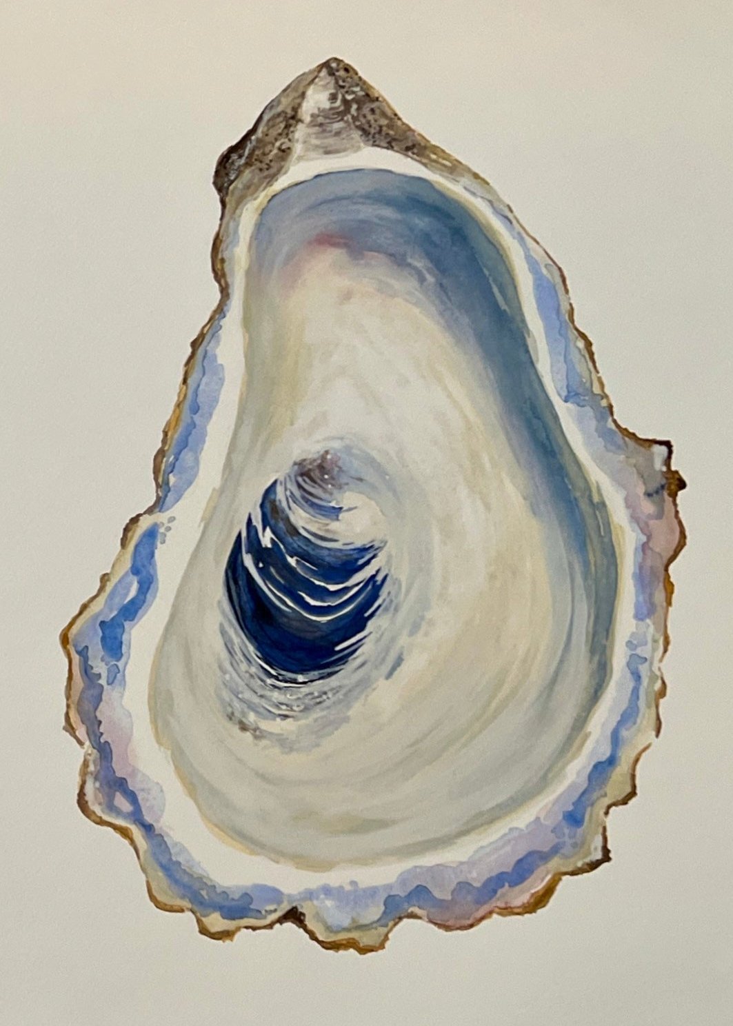 Giclee Prints of Original Watercolor, Oyster Shell #3