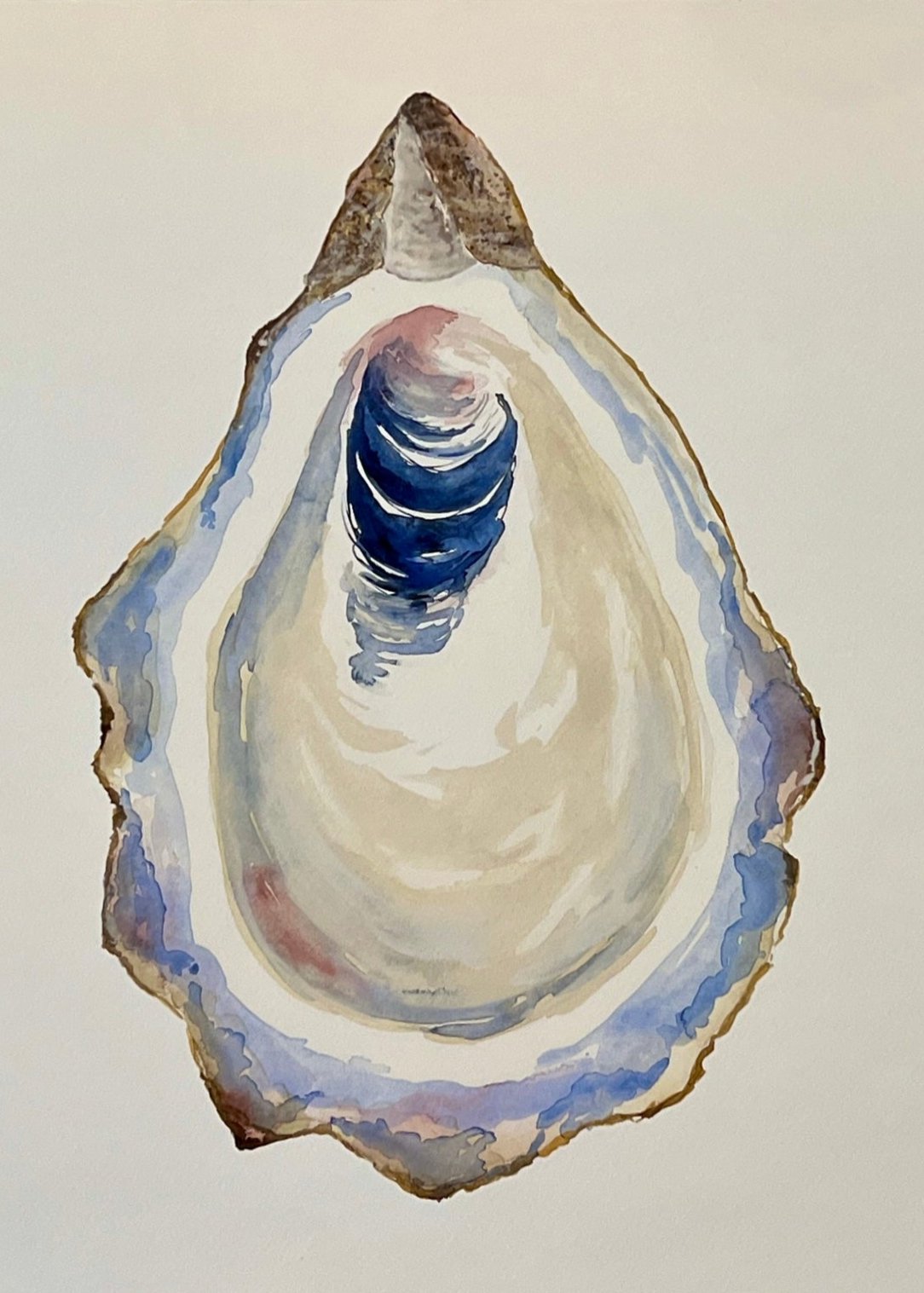 Giclee Prints of Original Watercolor, Oyster Shell #2