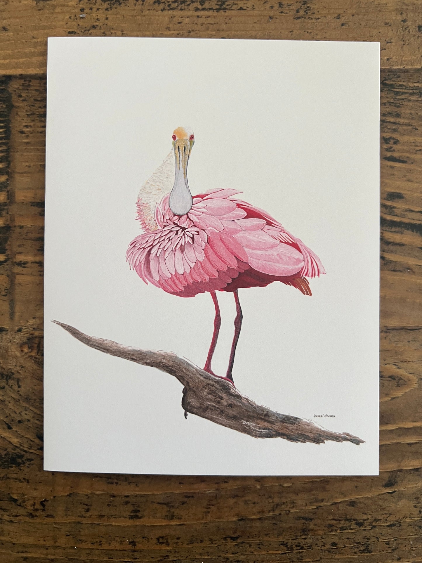 Note Card, Greeting Card, Pink Roseate Spoonbill, Blank Inside, Set of 10