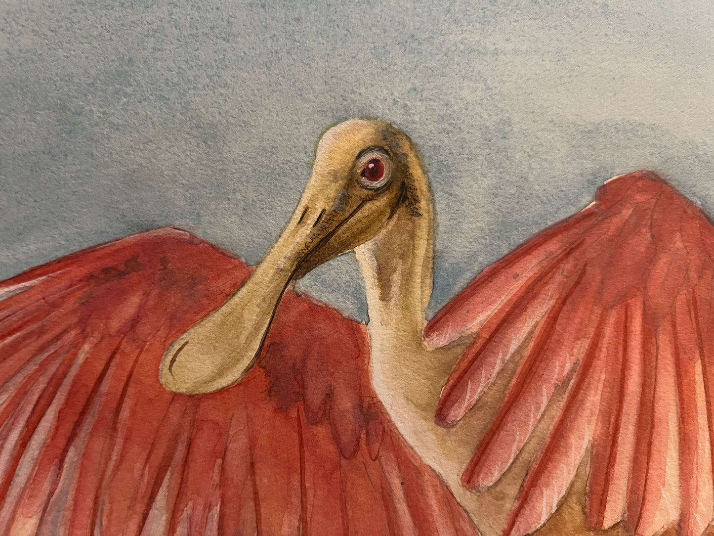 Giclee Prints of Watercolor Original Angel Spoonbill
