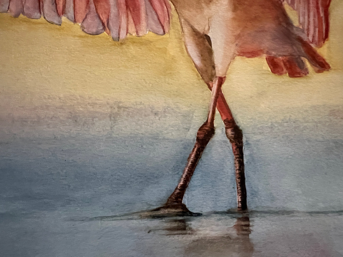 Giclee Prints of Watercolor Original Angel Spoonbill