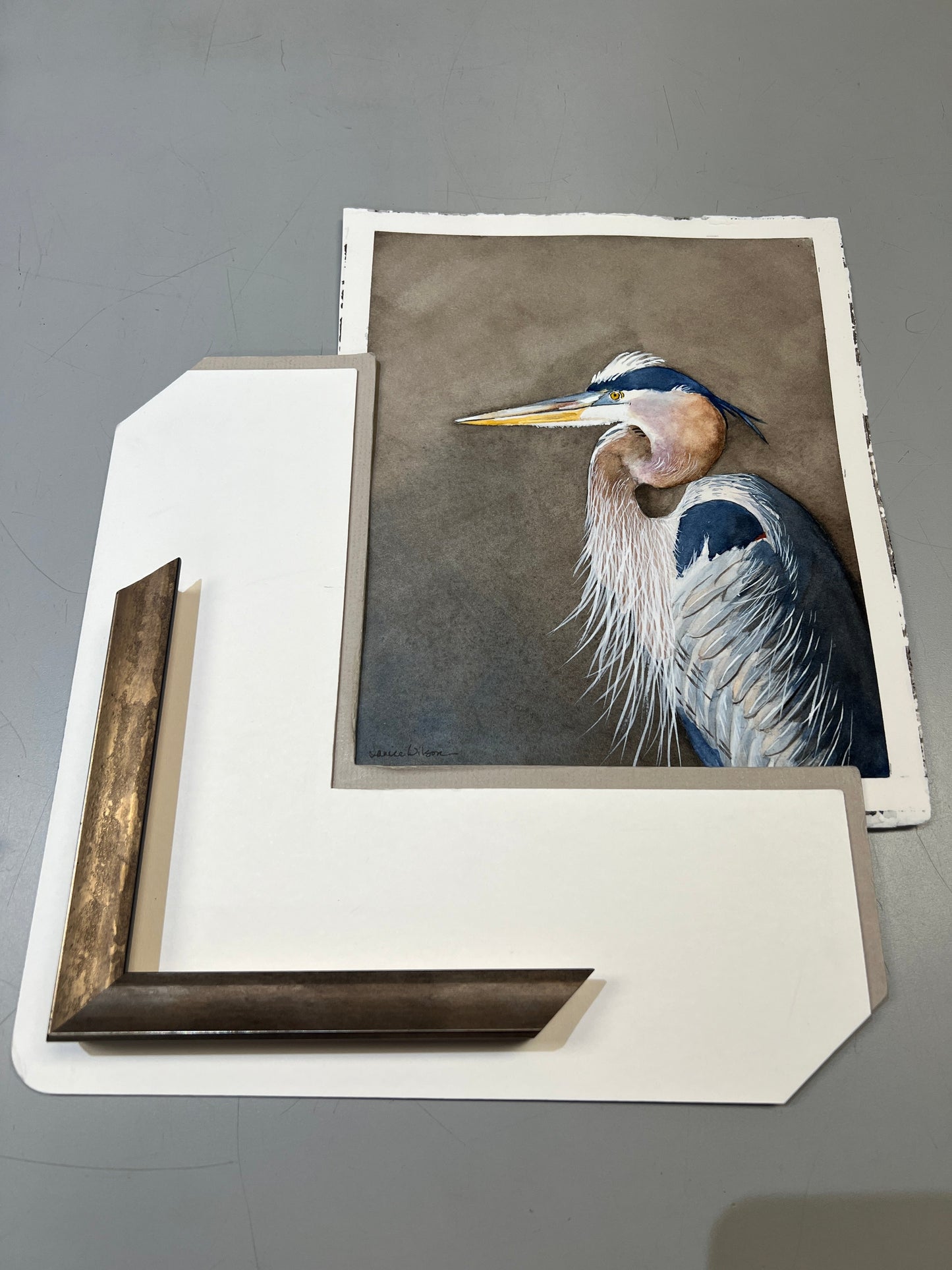Giclee Prints of Original Watercolor "Blue Heron in Full Plumage"