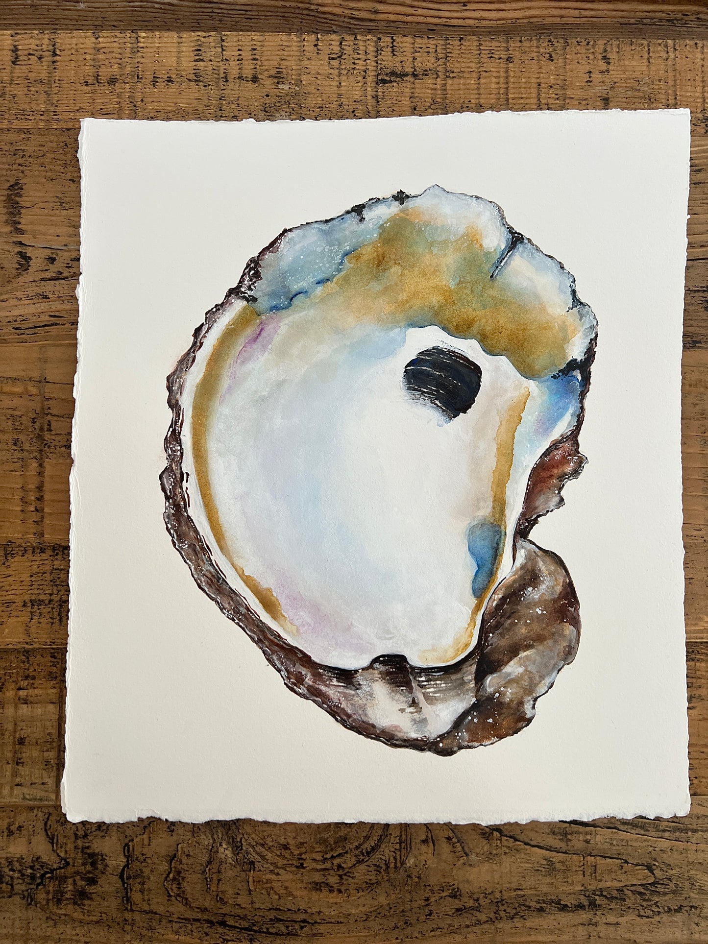 Original Watercolor "Oyster Shell"