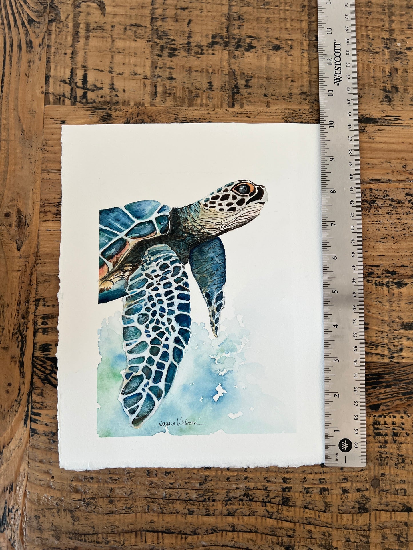 Giclee Prints of Original Watercolor ""Blue Loggerhead Turtle"
