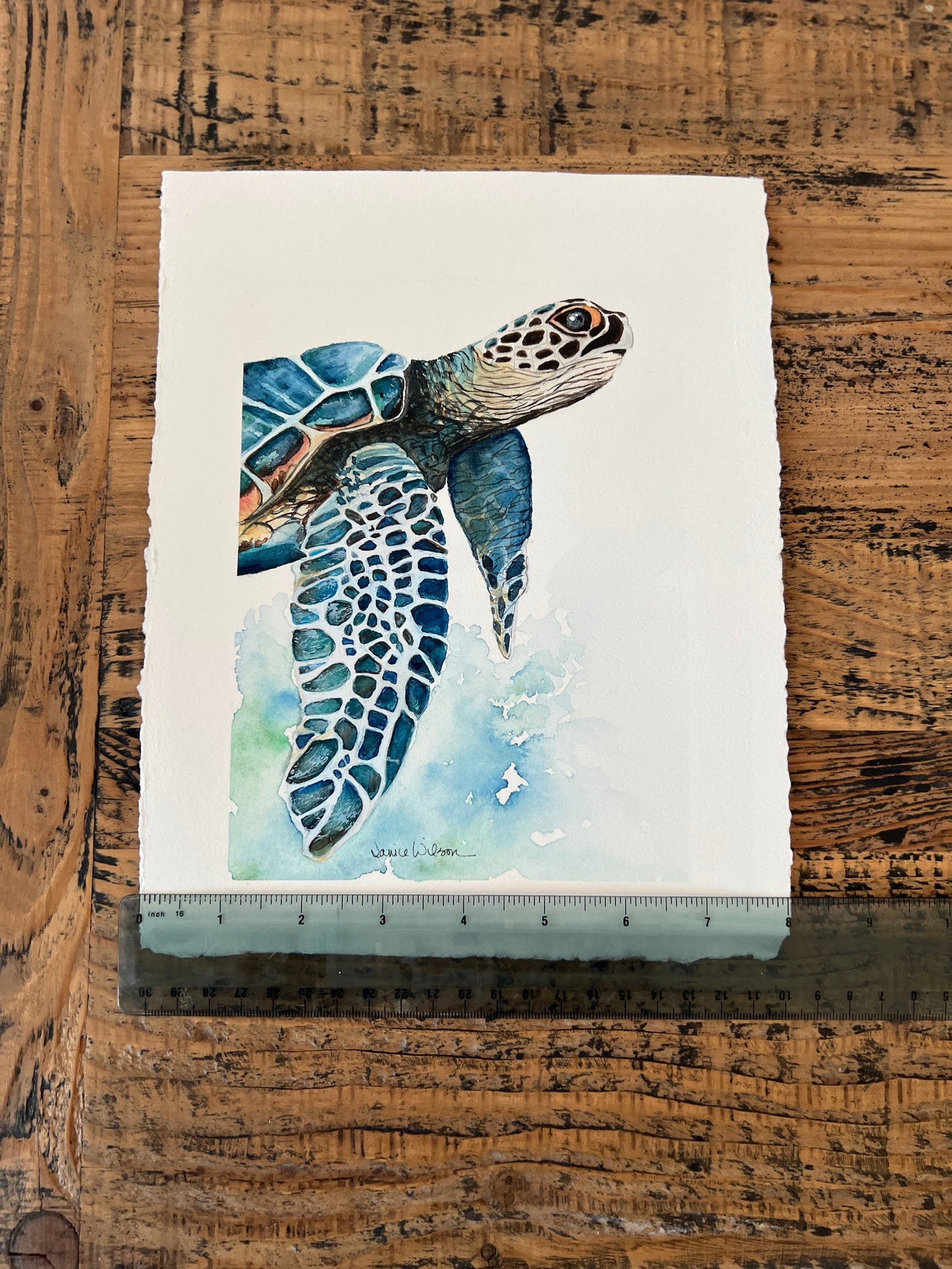 Giclee Prints of Original Watercolor ""Blue Loggerhead Turtle"