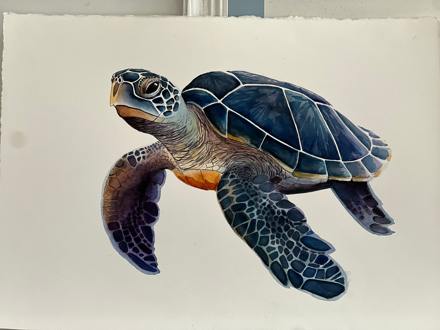 A Very Blue Turtle, Giclee Print, Original Fine Art Watercolor Painting, Loggerhead Sea Turtle