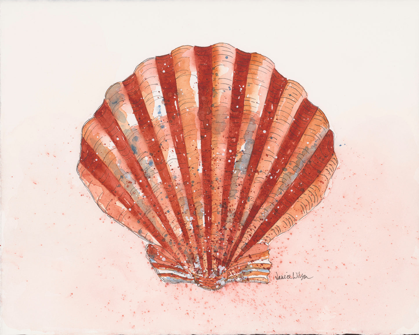 Orange Scallop Shell, Giclee Print, Original Fine Art Watercolor Painting Reproduction