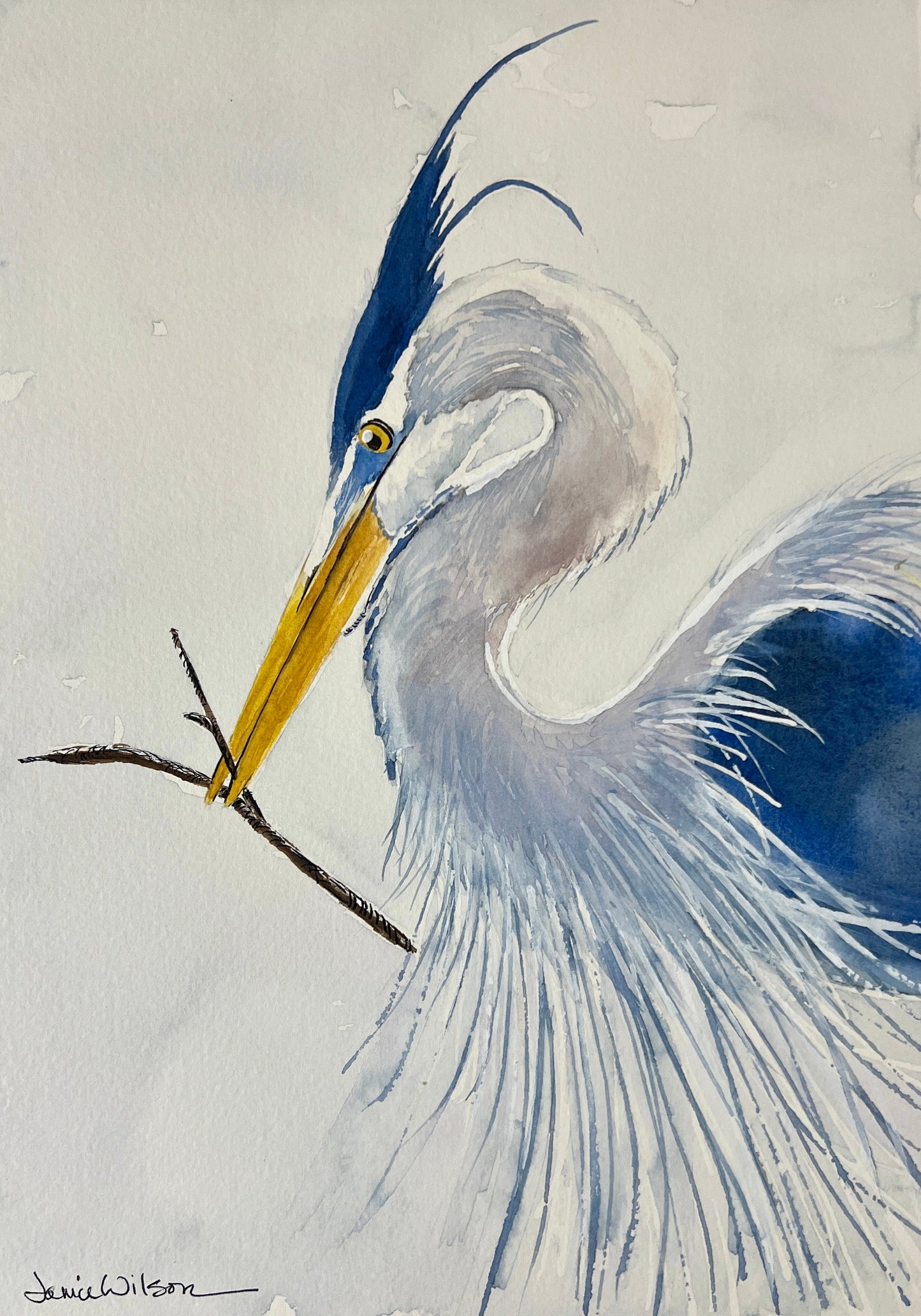 Giclee Prints of Original Watercolor "Fancy Heron"