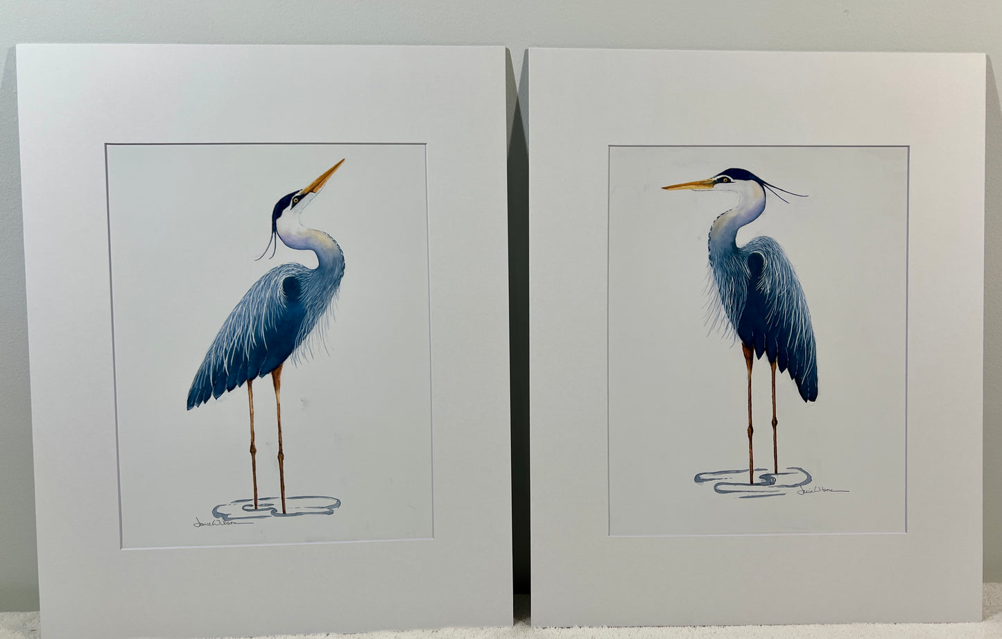 Giclee Print of Twin Facing Blue Herons in Puddles