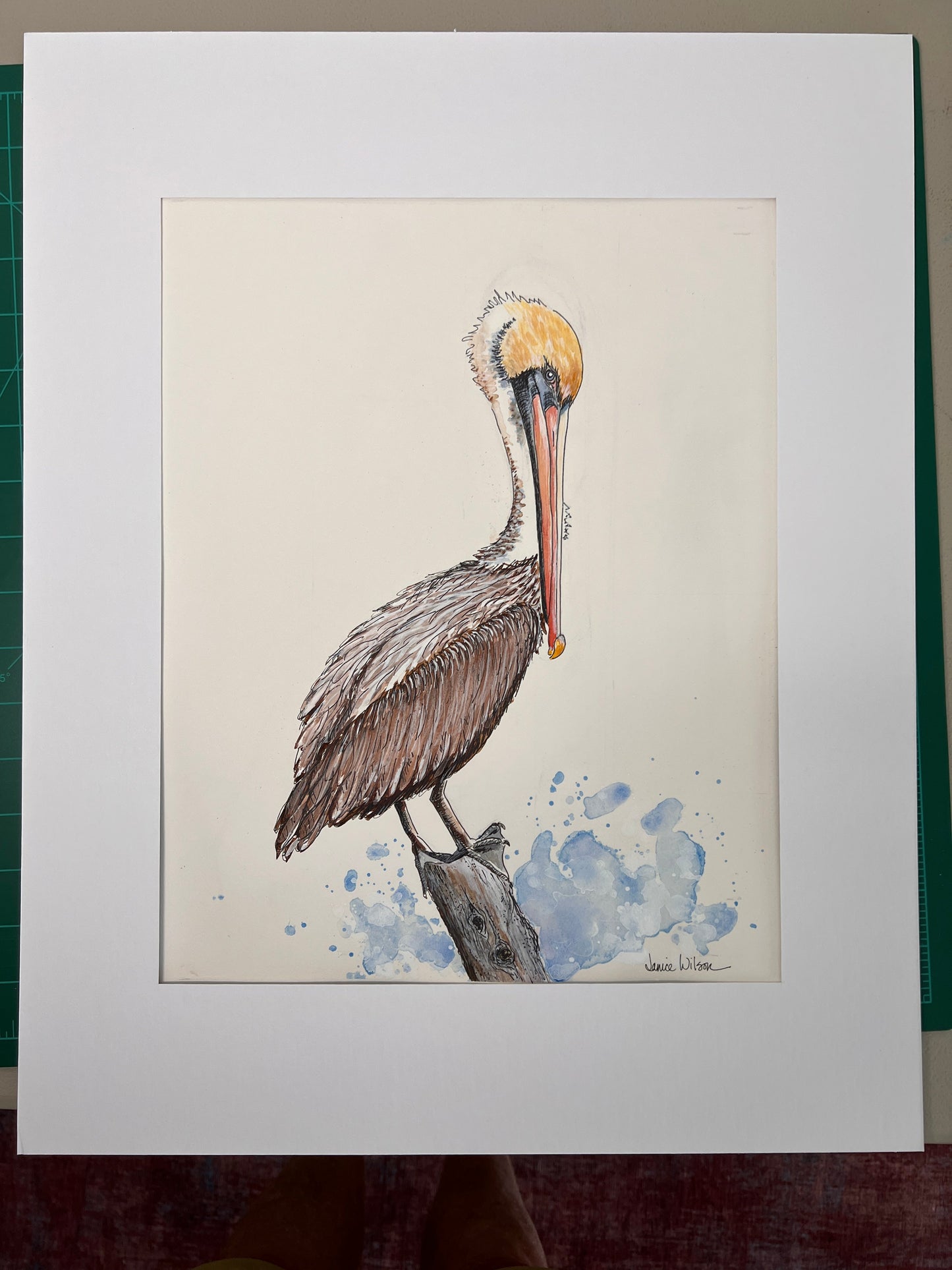Giclee Prints of Original Watercolor of Brown Pelican "Perry Pelican"