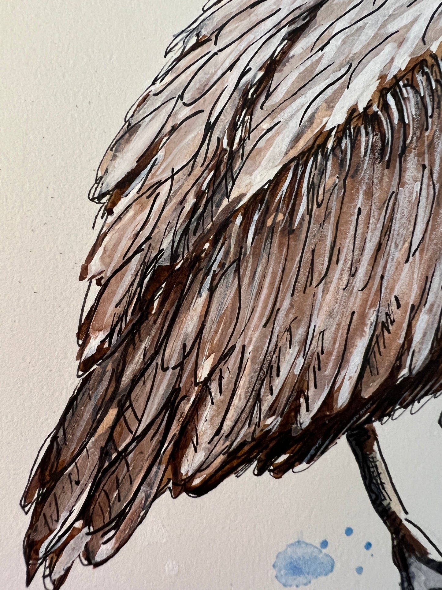 Giclee Prints of Original Watercolor of Brown Pelican "Perry Pelican"