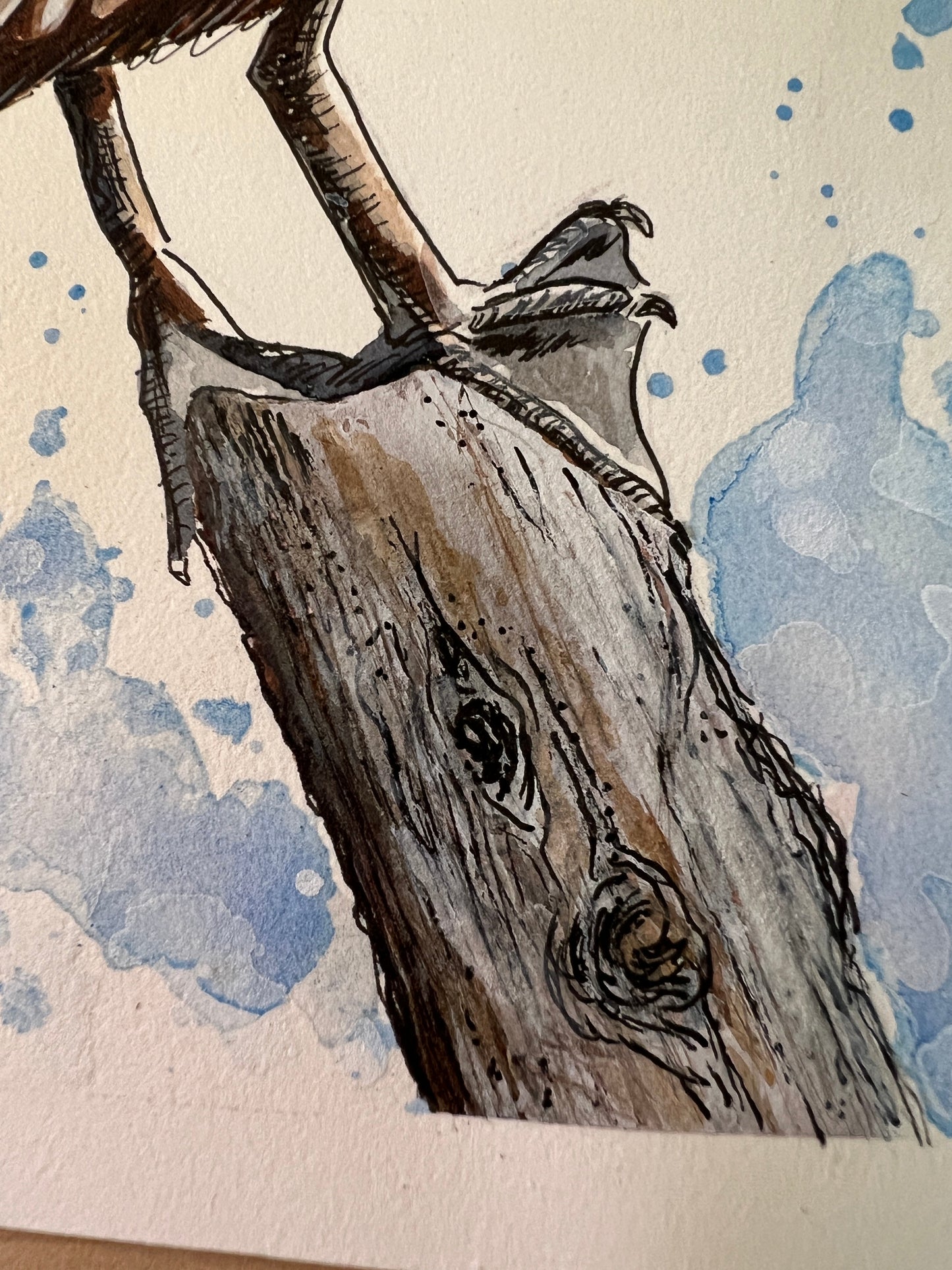 Giclee Prints of Original Watercolor of Brown Pelican "Perry Pelican"