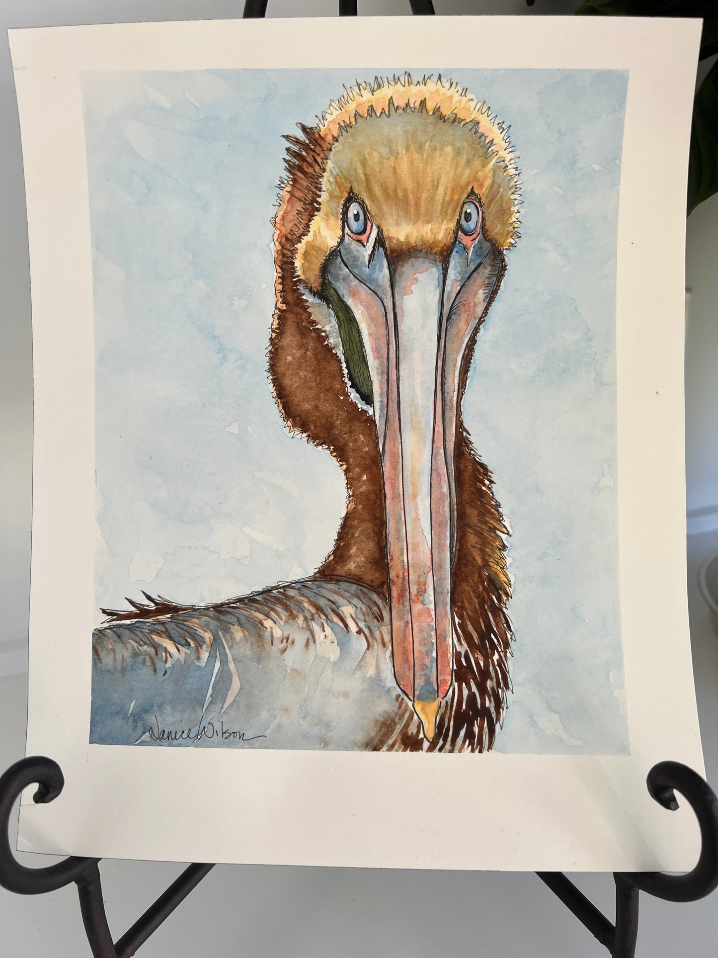 Giclee Prints of Original Watercolor of Brown Pelican "Pelle Pelican"
