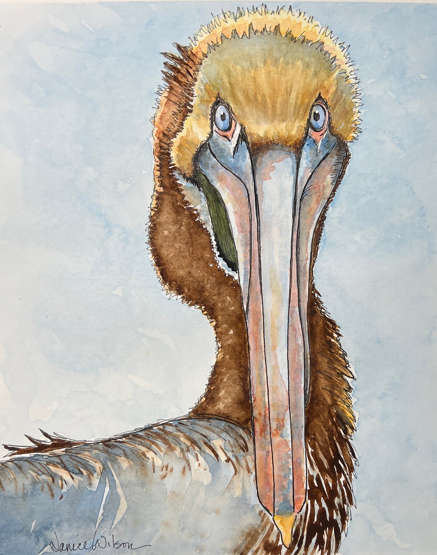 Giclee Prints of Original Watercolor of Brown Pelican "Pelle Pelican"