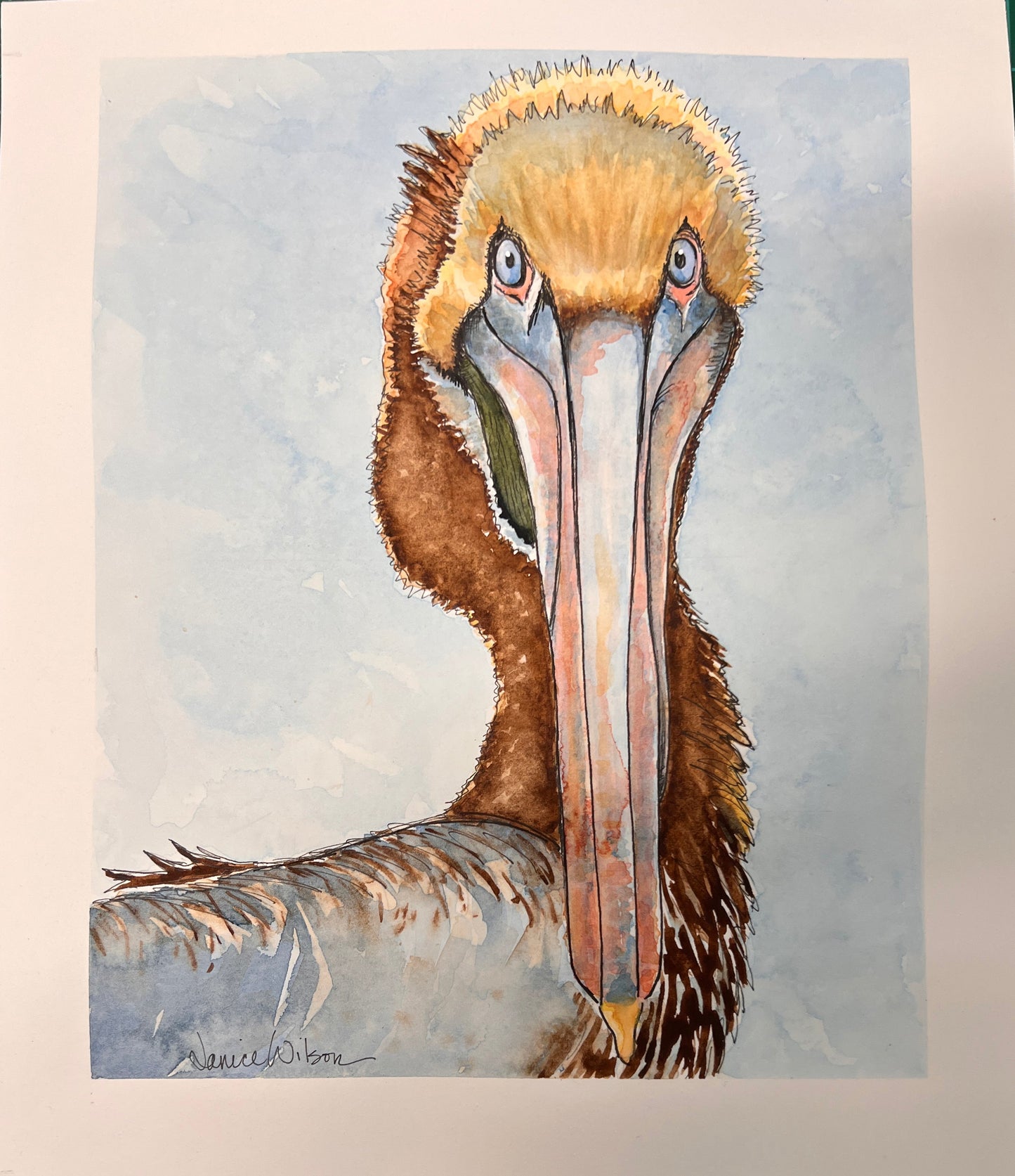 Giclee Prints of Original Watercolor of Brown Pelican "Pelle Pelican"