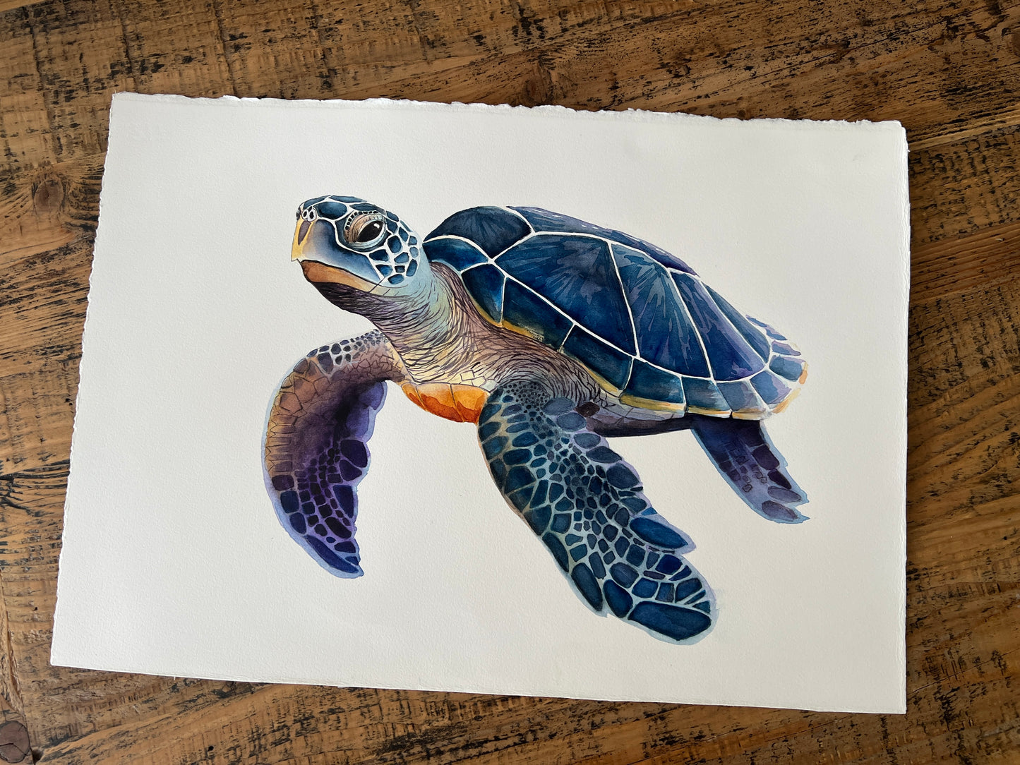 A Very Blue Turtle, Original Fine Art Watercolor Painting, 20 x 26 FRAMED