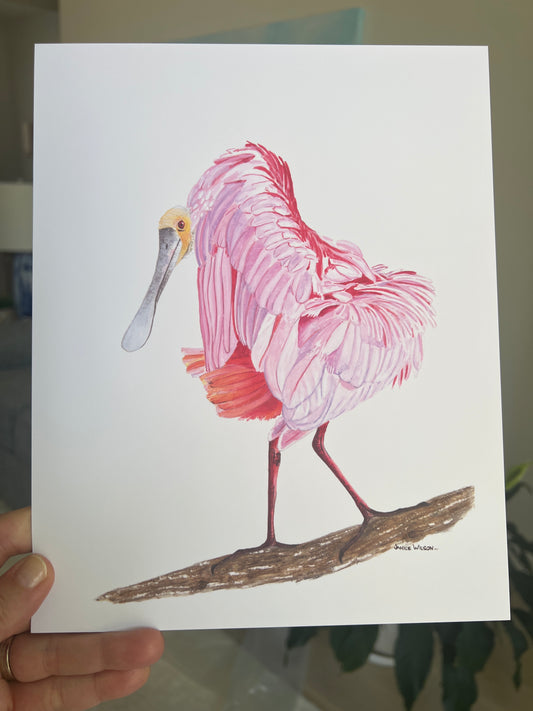Original Watercolor Painting, Heart, Roseate Spoonbill, 20 x 26, Framed, Ready to Hang