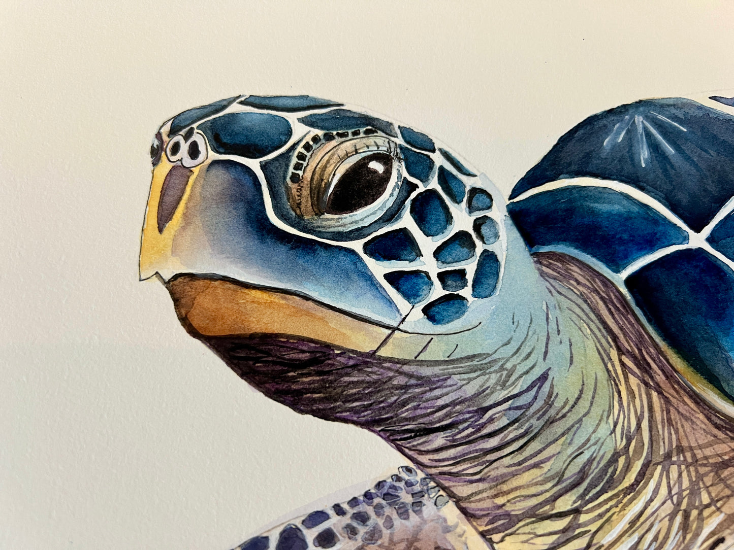 A Very Blue Turtle, Original Fine Art Watercolor Painting, 20 x 26 FRAMED