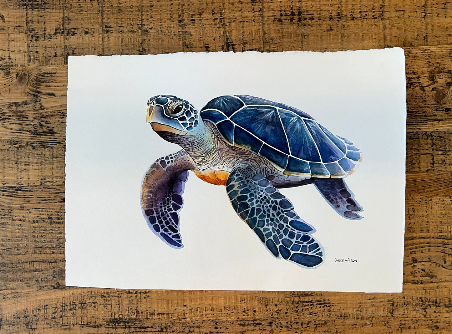 A Very Blue Turtle, Original Fine Art Watercolor Painting, 20 x 26 FRAMED