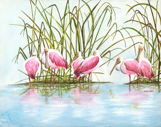 Bowl of Roseate Spoonbills, Giclee Print from Watercolor Painting