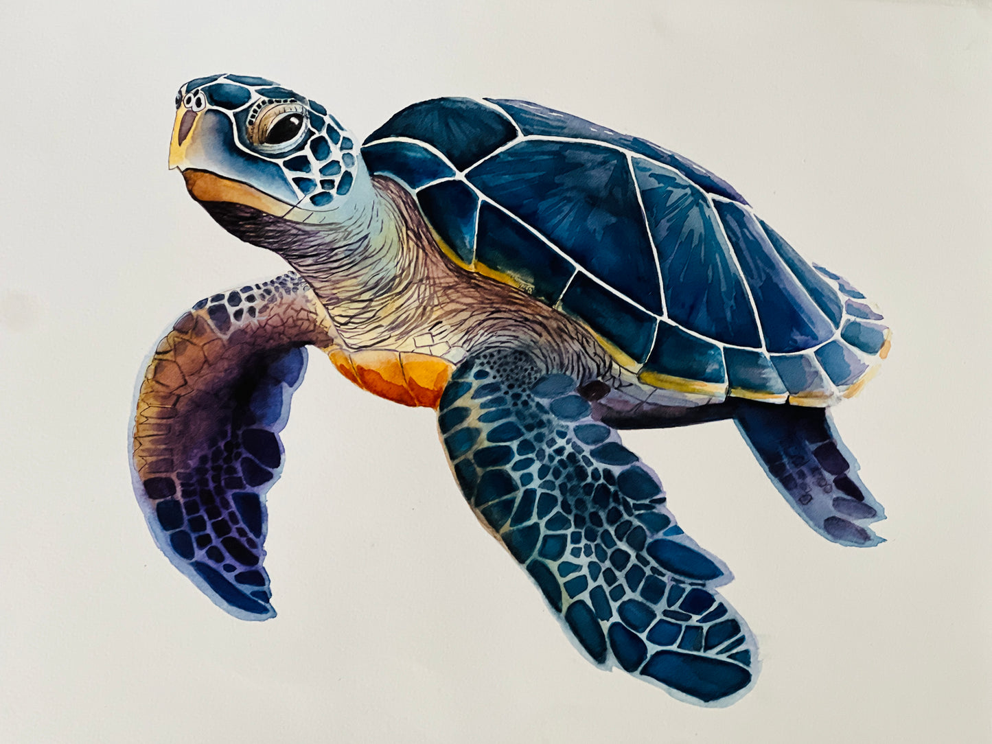 A Very Blue Turtle, Original Fine Art Watercolor Painting, 20 x 26 FRAMED