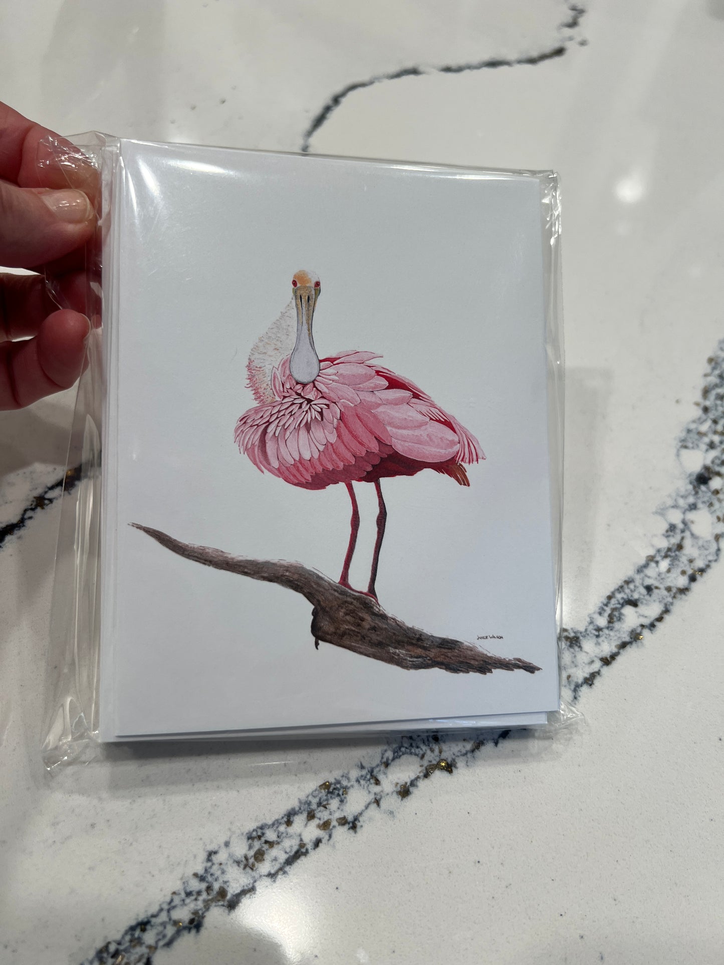 Note Card, Greeting Card, Pink Roseate Spoonbill, Blank Inside, Set of 10