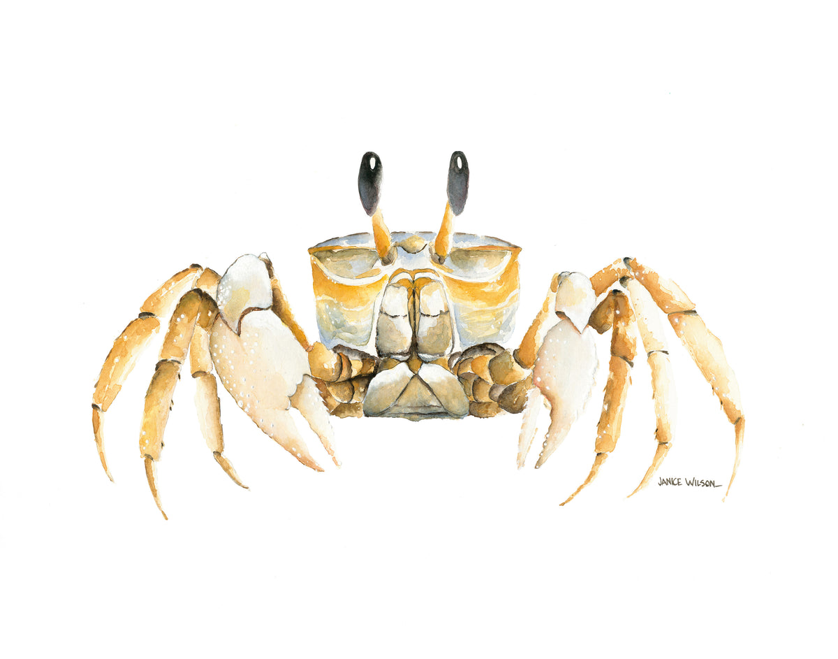 Ghost Crab, Original Fine Art Watercolor Painting