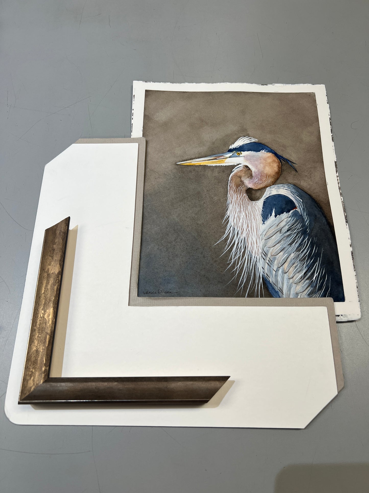 Original Watercolor "Blue Heron in Full Plumage"