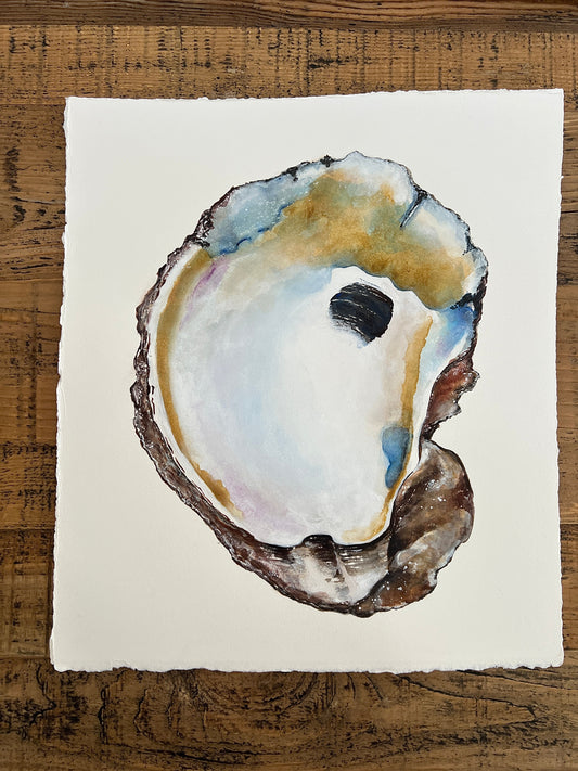Giclee Prints of Original Watercolor "Oyster Shell"