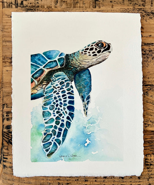 Giclee Prints of Original Watercolor ""Blue Loggerhead Turtle"