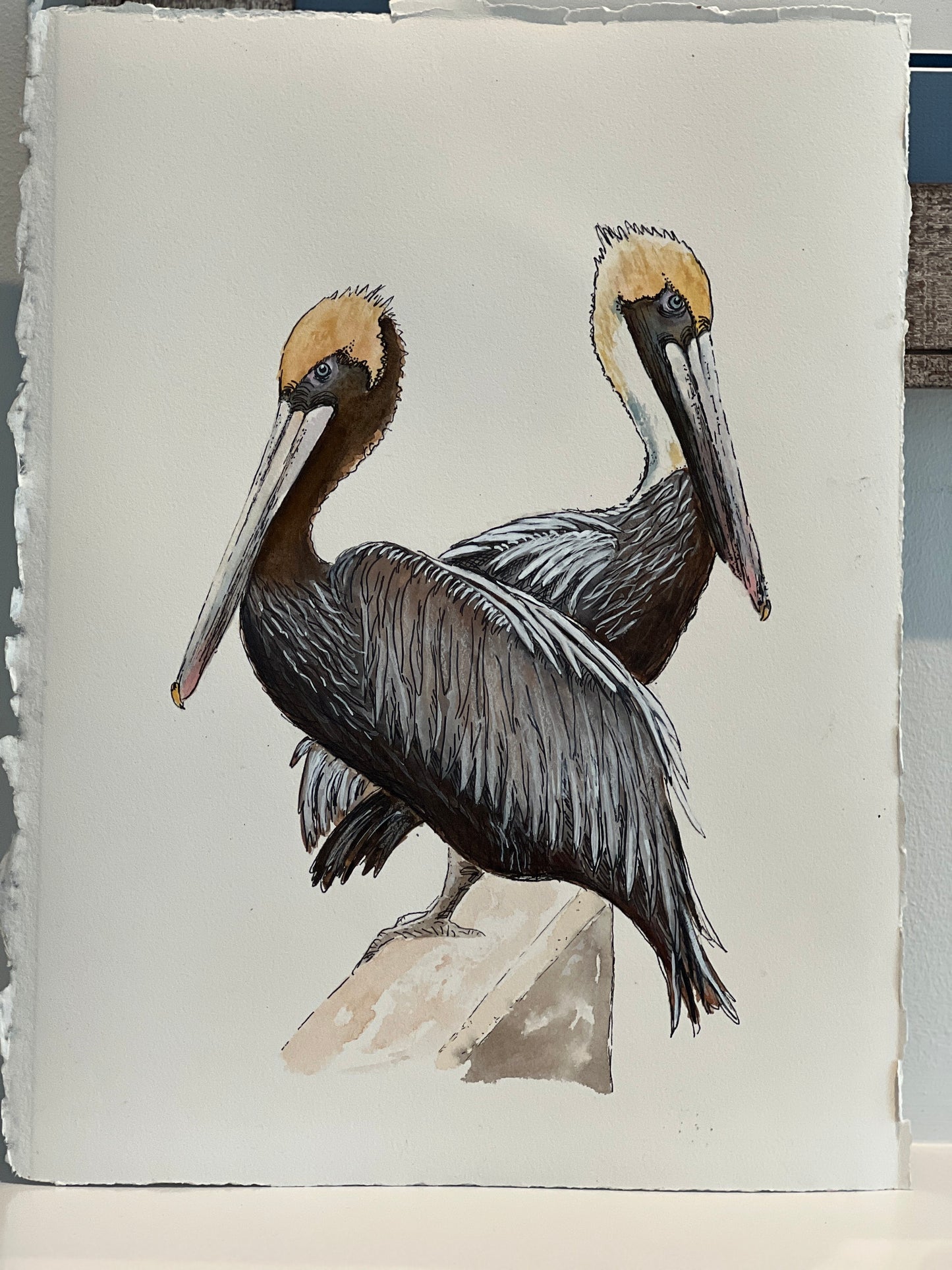 Original Watercolor "Pelicans in a Row" Matted & Framed 17.5" x 20" Ready to Hang