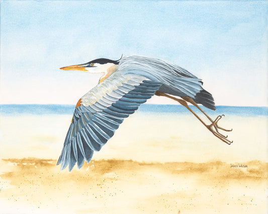 Islander's Beach Blue Heron, Original Fine Art Watercolor Painting, 20 x 26 FRAMED