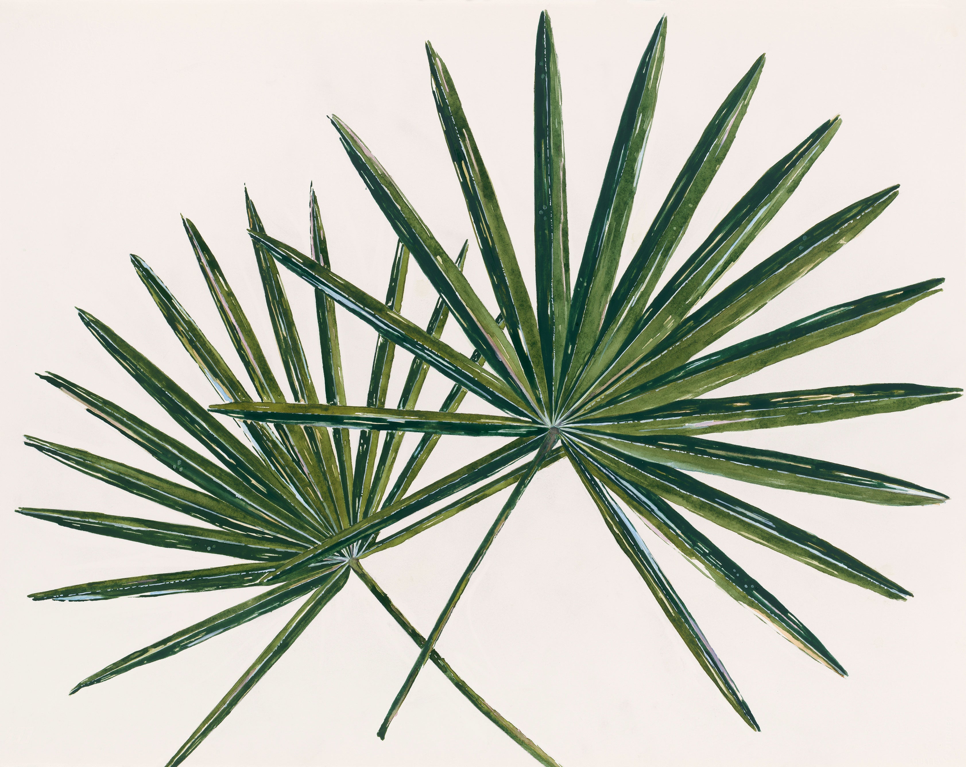 Mezzaluna Palmetto Palm Appeso Ornamento Di Natale