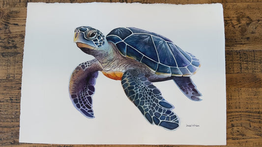 A Very Blue Turtle, Original Fine Art Watercolor Painting, 20 3/4 x 14 3/4